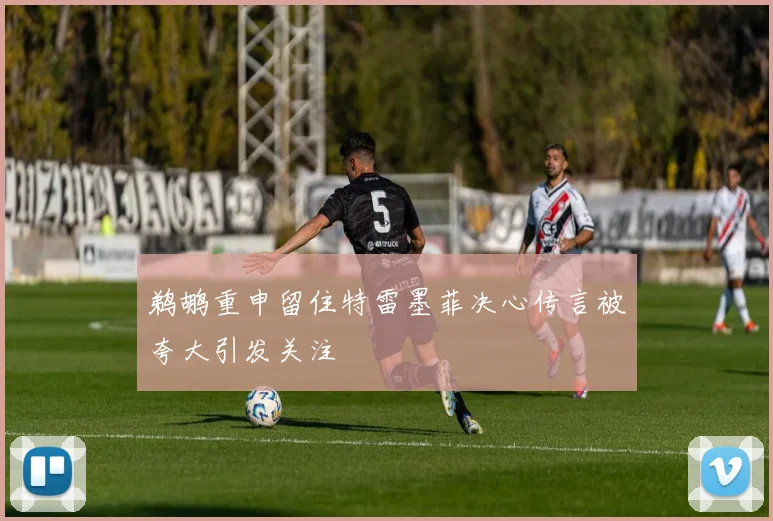 鹈鹕重申留住特雷墨菲决心传言被夸大引发关注