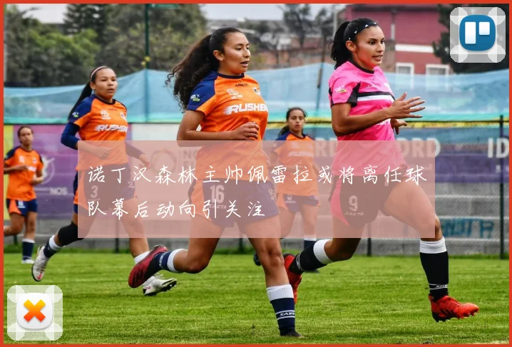 诺丁汉森林主帅佩雷拉或将离任球队幕后动向引关注