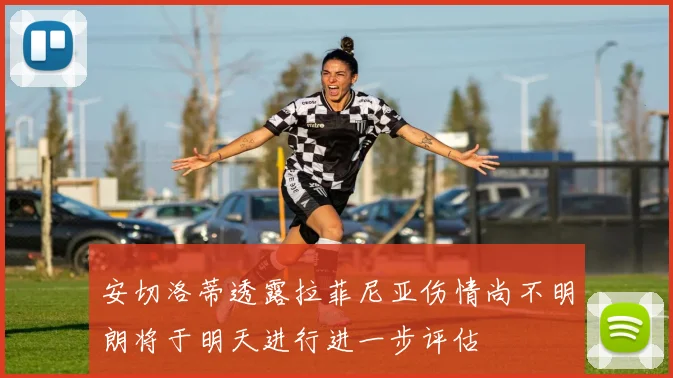 安切洛蒂透露拉菲尼亚伤情尚不明朗将于明天进行进一步评估