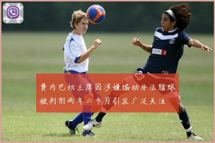 费内巴切主席因涉嫌煽动非法赌球被判刑两年六个月引发广泛关注